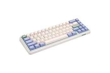 Amazon.com: Varmilo Minilo VXB67 Eucalyptus 65% Bluetooth